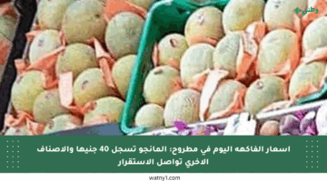 أسعار الفاكهة اليوم في مطروح: المانجو تسجل 40 جنيها والأصناف الأخرى تواصل الاستقرار
